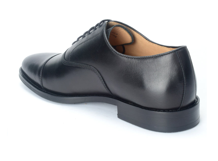 Daniel cap toe - Warfield & Grand Oxfords